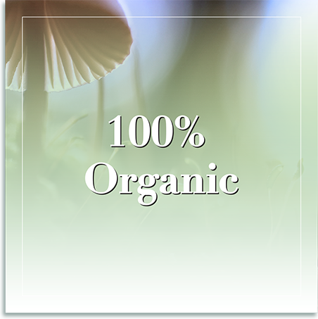 100 Percent Organic Home Pg Panel